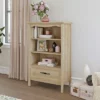 51.41" 2 Open Shelves Adaline Café Vertical Bookcase with Storage Orchard Oak - Sauder -Bookshelves Sales Shop unnamed file 4668